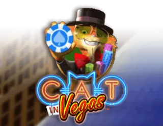 Cat in Vegas